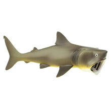 Safari Basking Shark