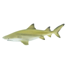 Safari Lemon Shark