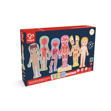 Hape Human Body Magnetic Puzzle