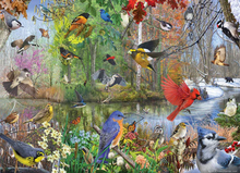 Cobble Hill Puzzles 1000 Pieces Birds of the Season