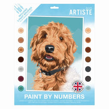 Paint By Numbers Playful Labradoodle