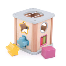 BigJigs Shape Sorter - FSC 100%