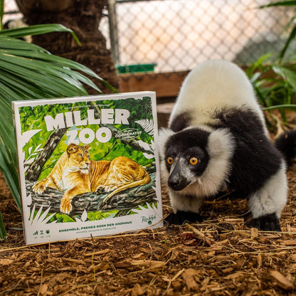 Miller Zoo