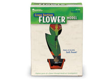 Learning Resources Cross-Section Flower Model