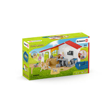 Schleich Veterinarian Practice With Pets
