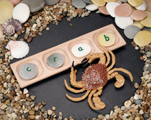 Yellow Door 4-Pebble Word-building Tray