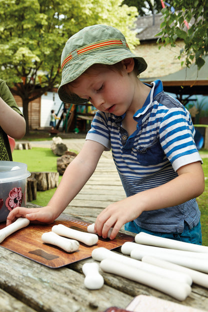 Yellow Door Dinosaur Bones Match and Measure Set