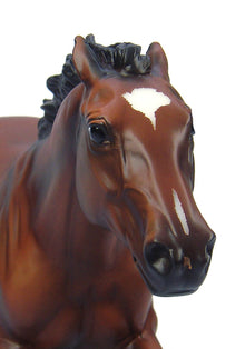 Breyer Frankel