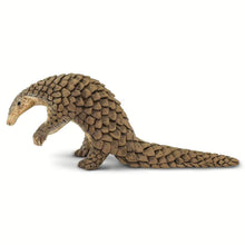 Safari Pangolin