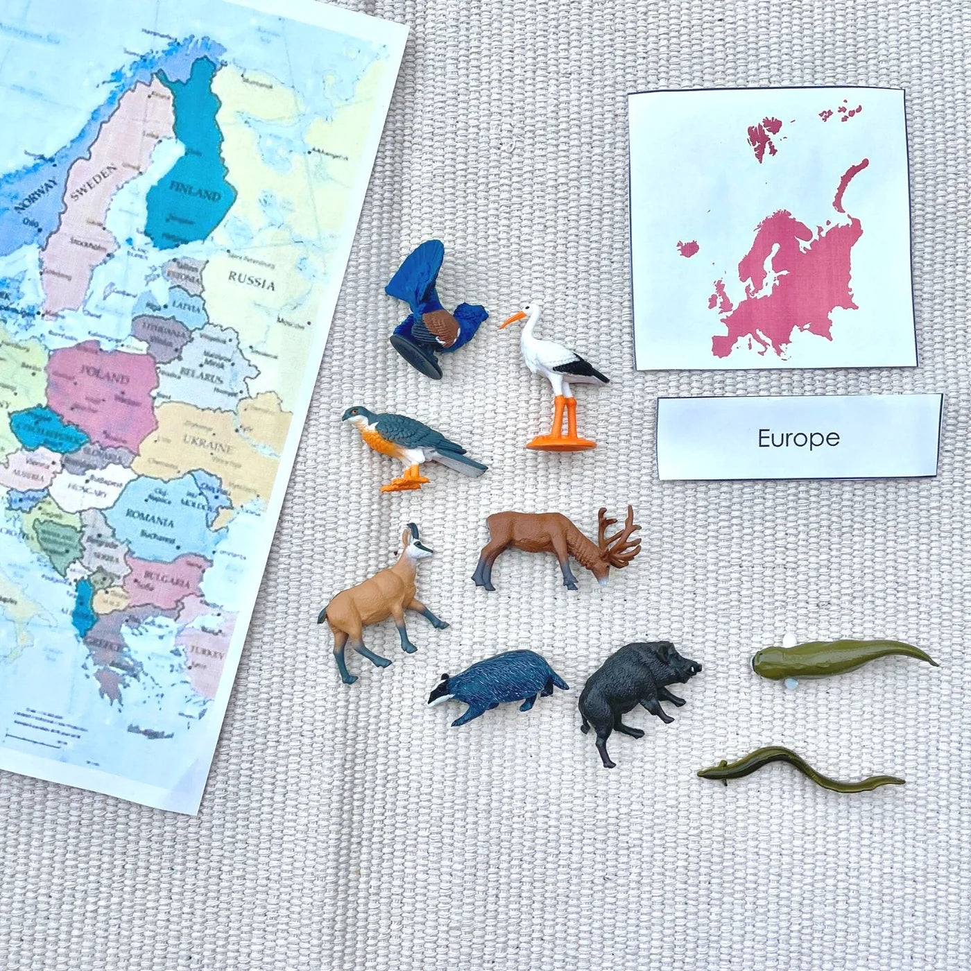 Safari Toob European Animals (9 Pieces)