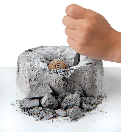Discovery #MINDBLOWN Toy Excavation Kit Mini Fossil 2pc