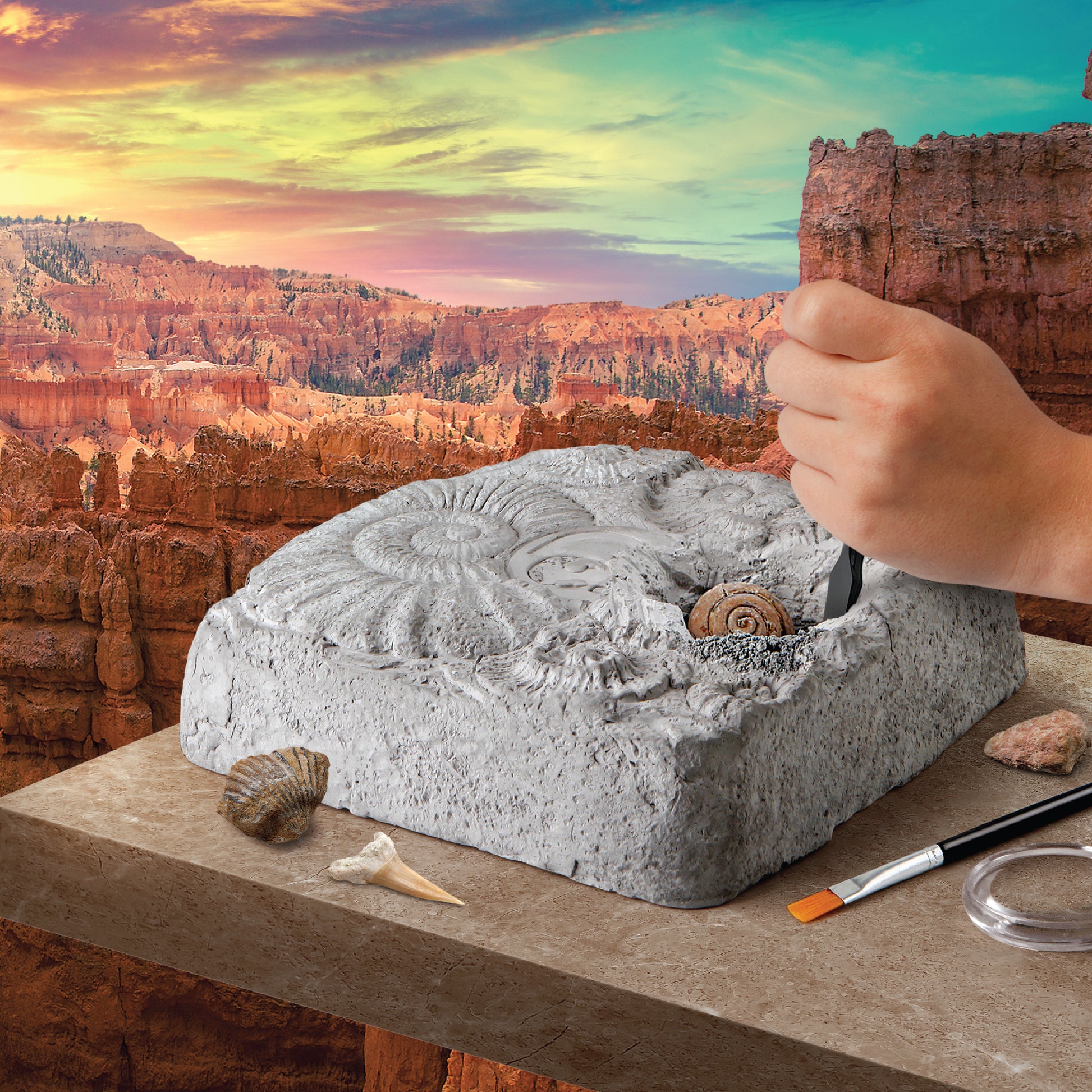 Discovery #MINDBLOWN Toy Fossil Excavation Kit 15pc