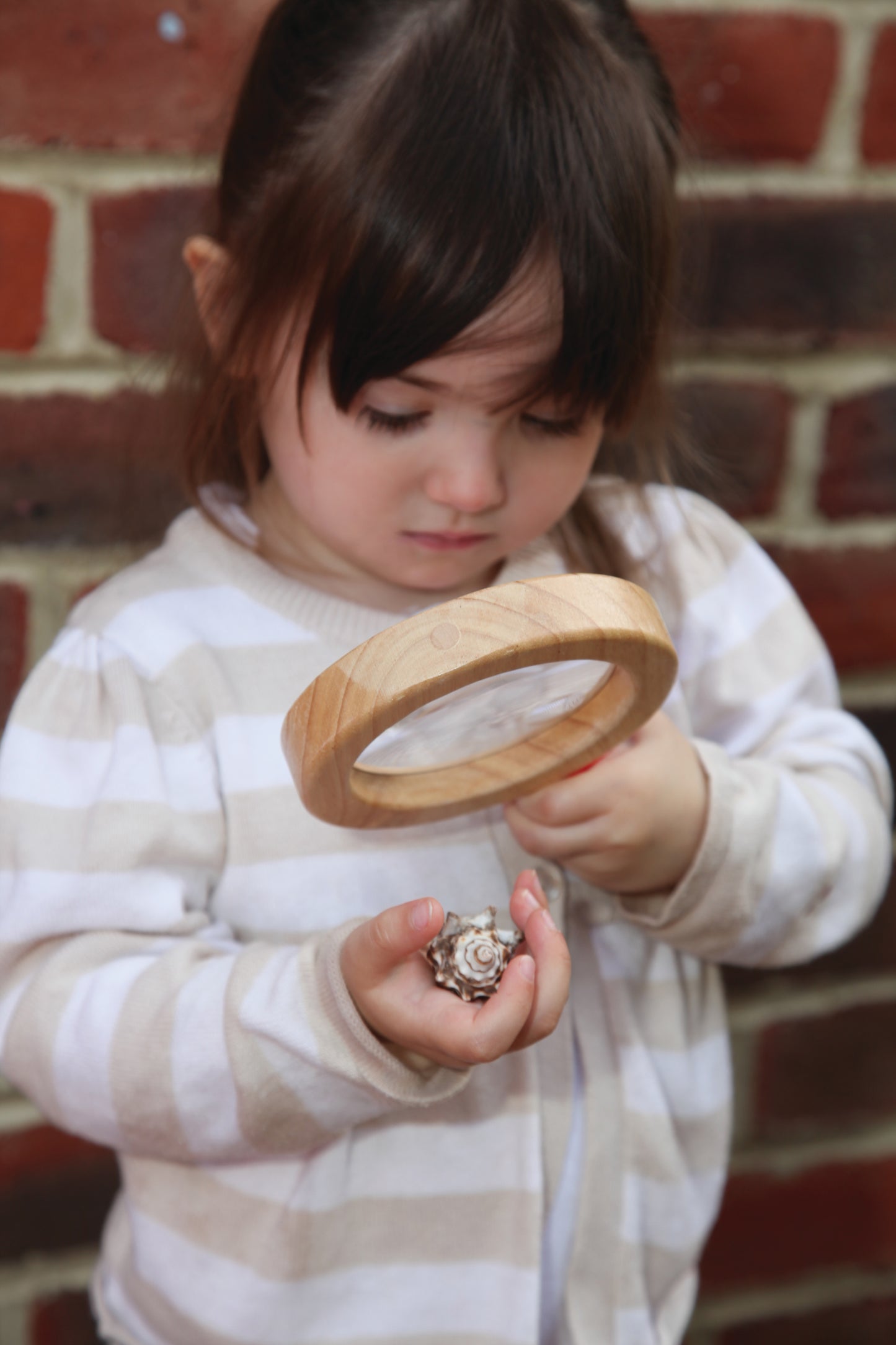 TickiT Wooden Hand Lens