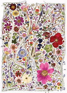 Cobble Hill Puzzles 1000 Pieces Flower Press: Spring