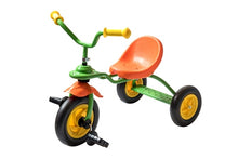 Rolly Dodo Trike Green