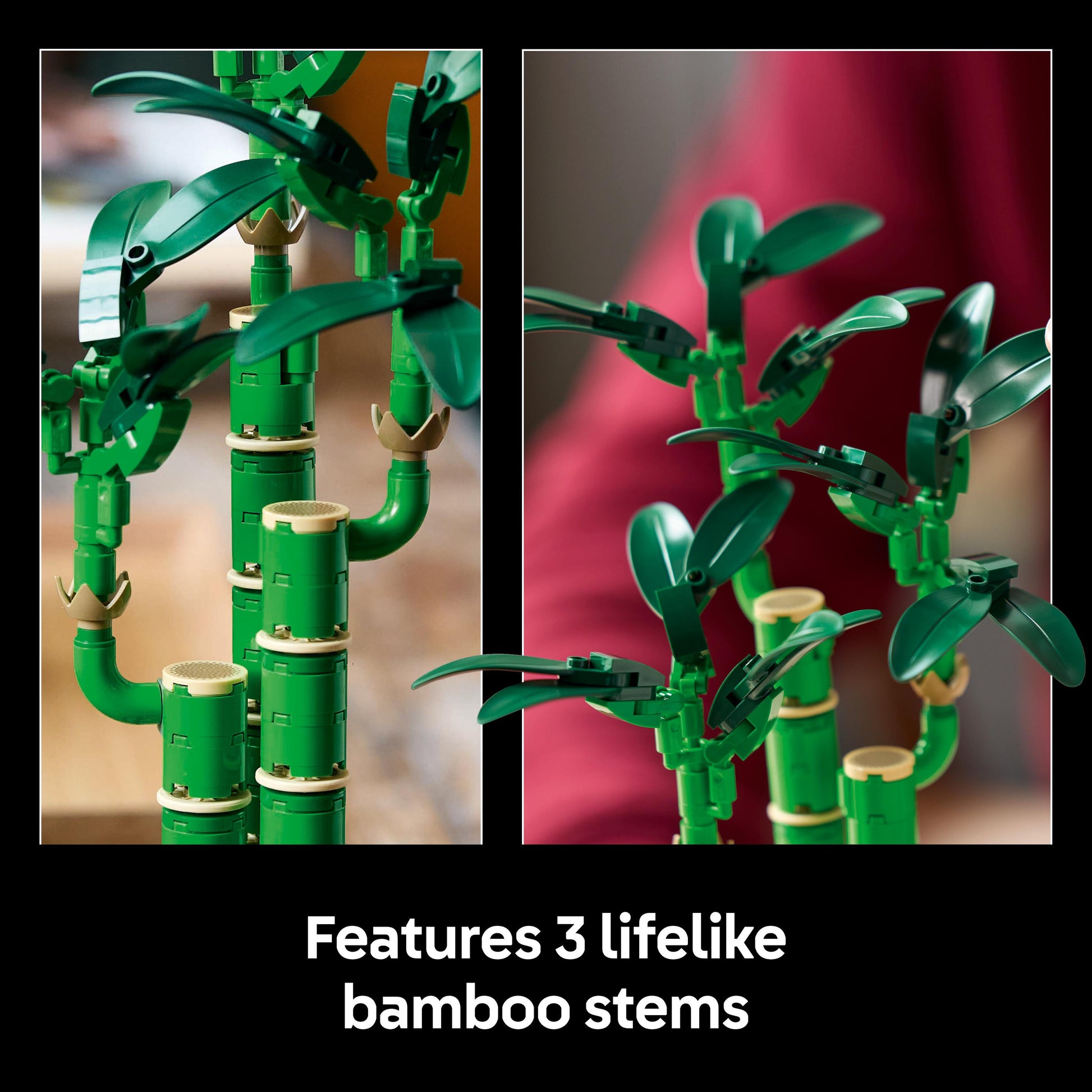 Lego Botanicals 10344 Lucky Bamboo