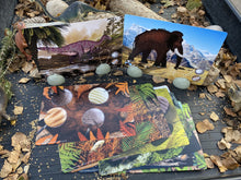Yellow Door Prehistoric Teeth Activity Cards