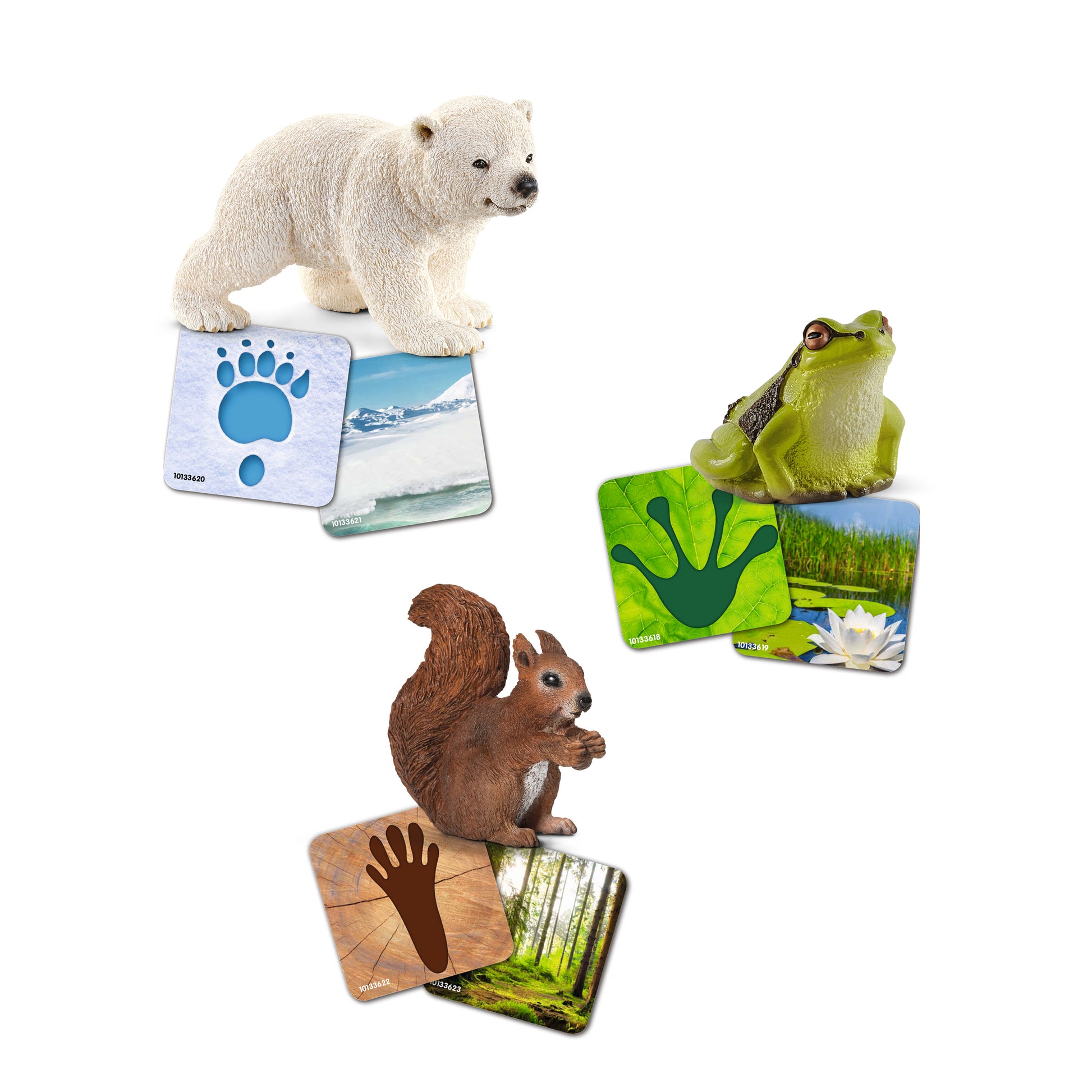 Schleich Schleich Wild Life Flash Cards