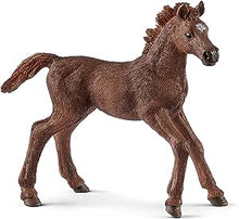 Schleich English Thoroughbred Foal