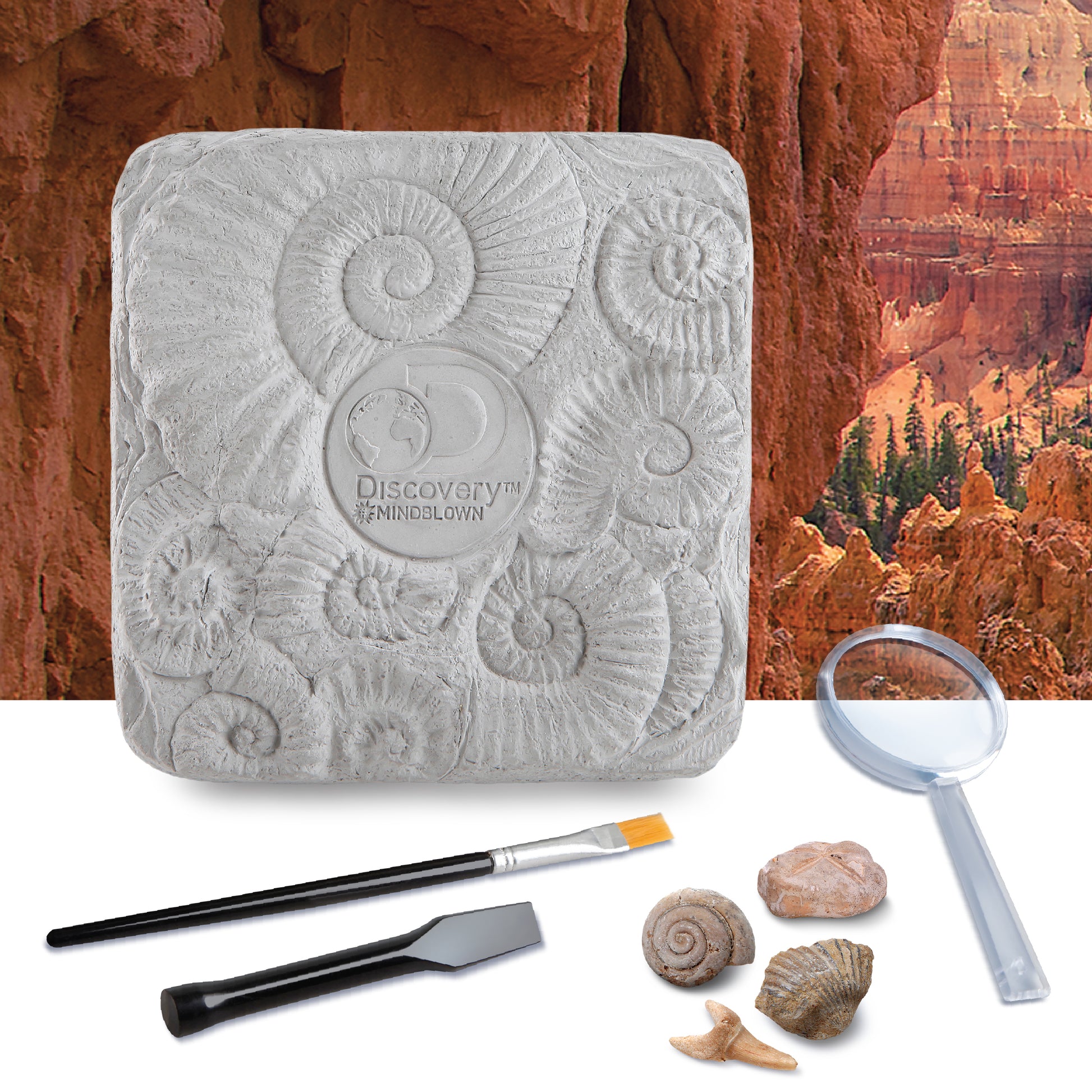 Discovery #MINDBLOWN Toy Fossil Excavation Kit 15pc
