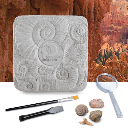 Discovery #MINDBLOWN Toy Fossil Excavation Kit 15pc