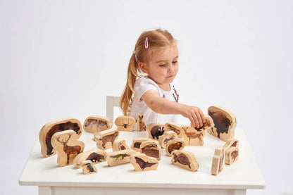 TickiT Wooden Forest Animals Blocks