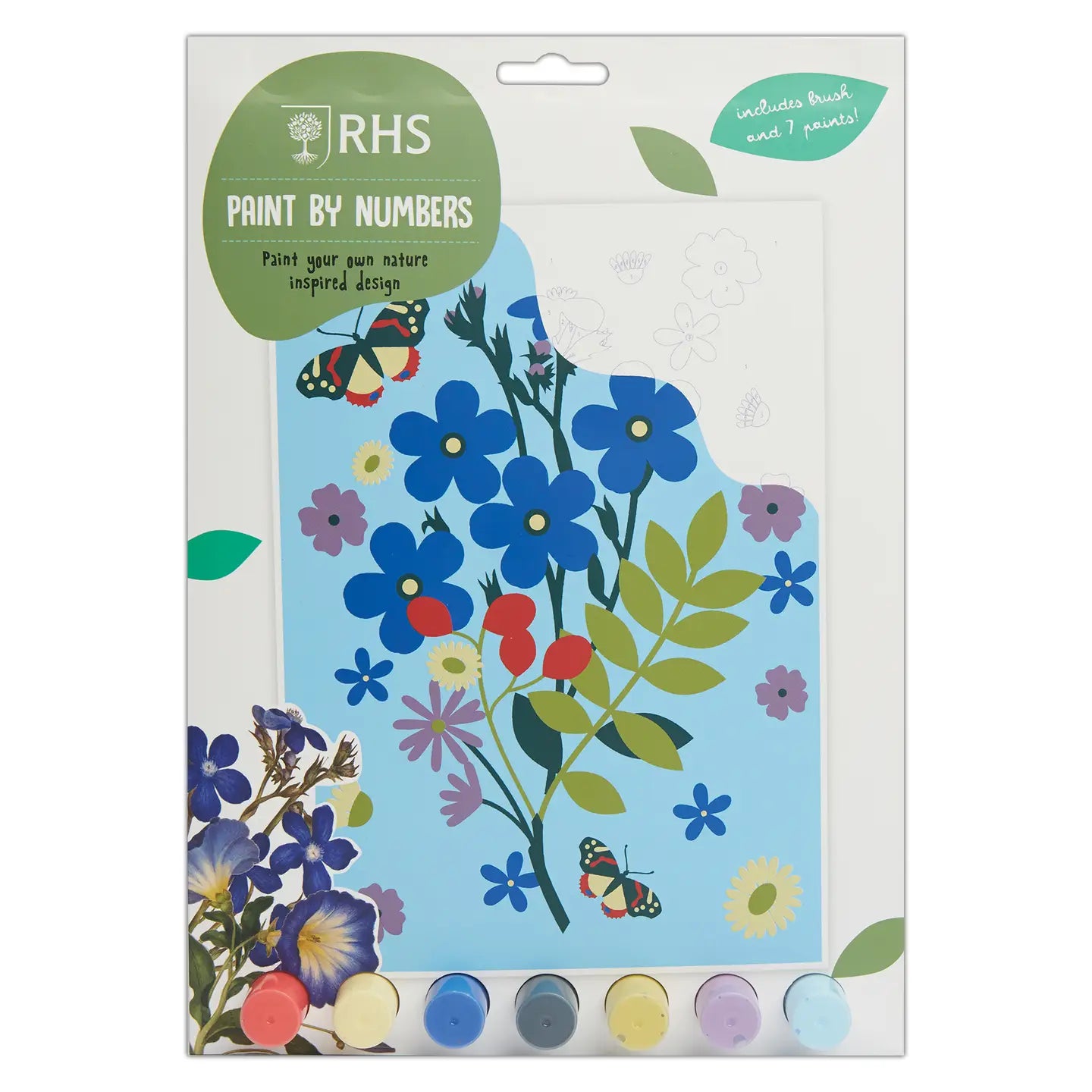 RHS Paint By Numbers - Flowers