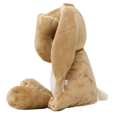 Rainbow Designs Guess How Much I Love You Peekaboo Large Hare