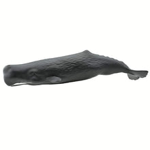 Safari Sperm Whale-S100209
