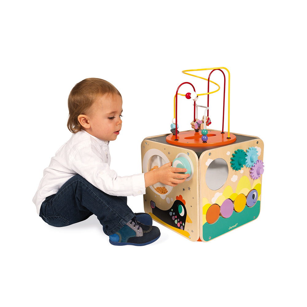 Janod Multi-Activity Looping Toy