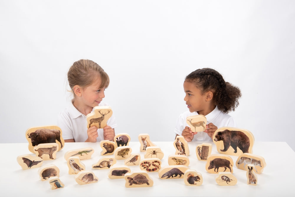 TickiT Wooden Forest Animals Blocks