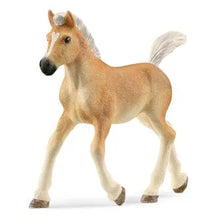 Schleich Haflinger Foal-13951