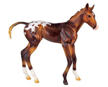 Breyer Espresso - Springtime Filly