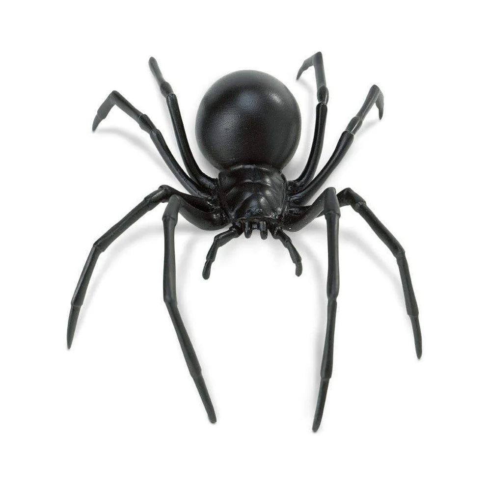 Safari Black Widow Spider