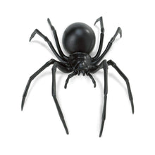 Safari Black Widow Spider