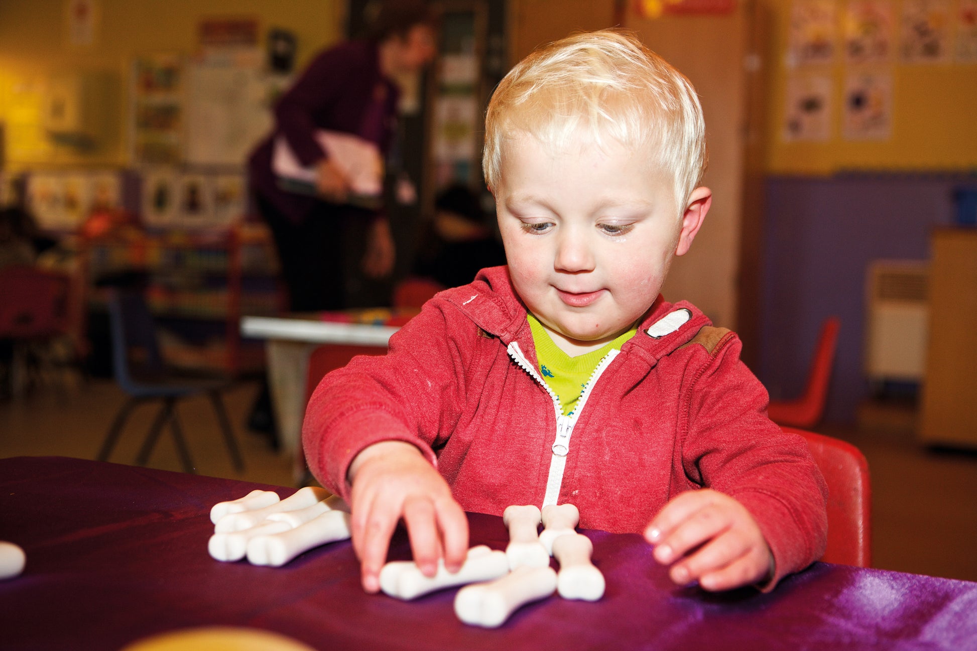 Yellow Door Dinosaur Bones Discovery Set