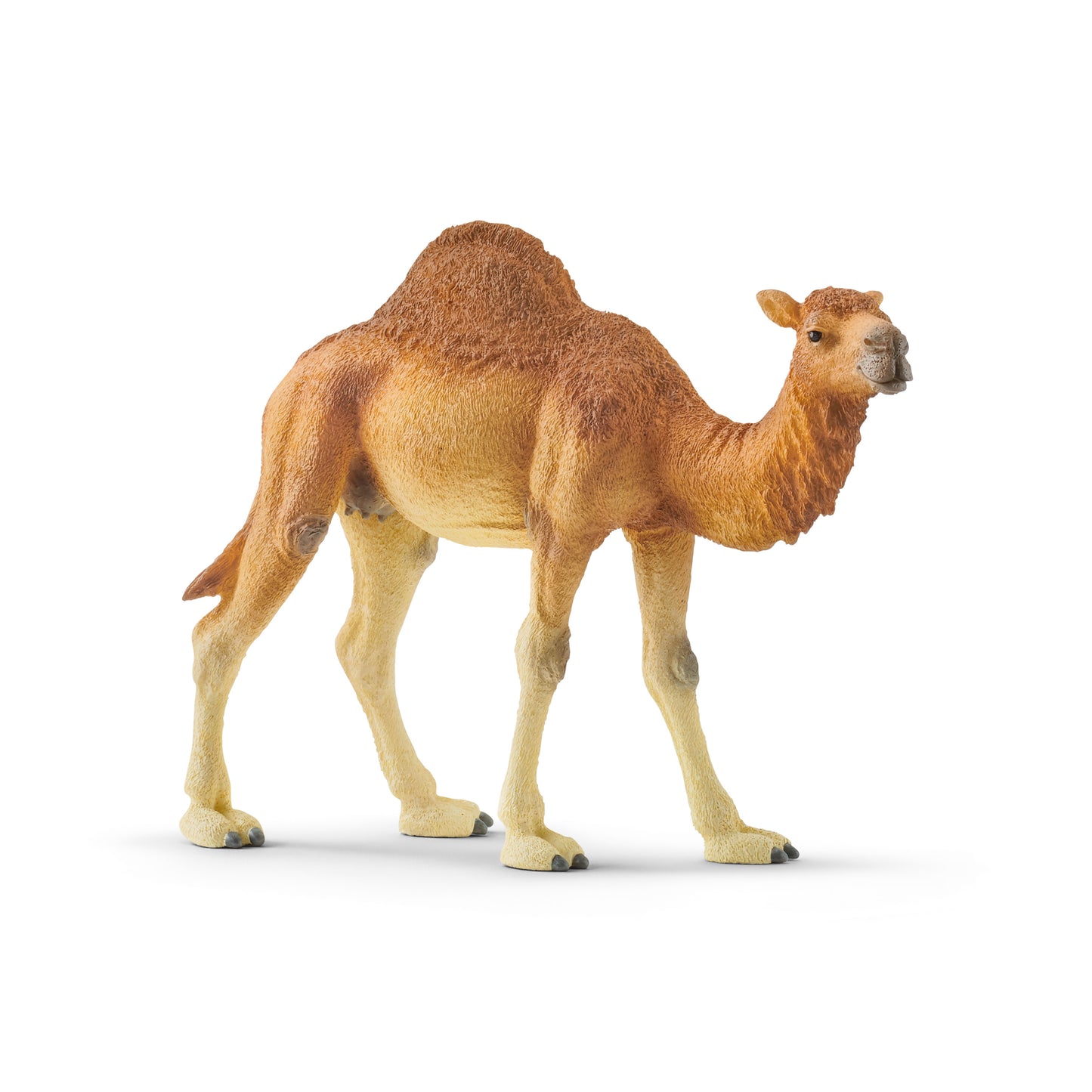 Schleich Dromedary