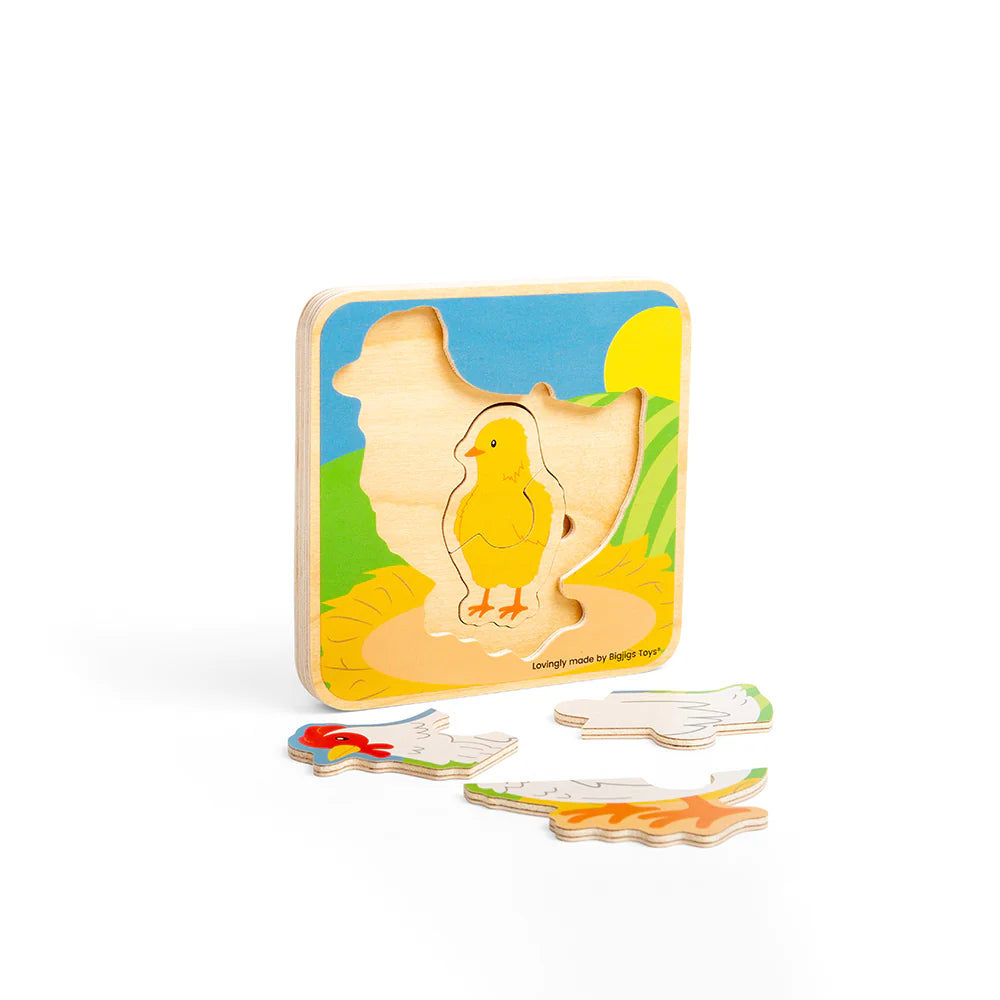 BigJigs Lifecycle Puzzle - Chicken