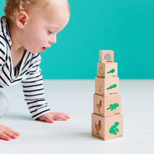 The Freckled Frog Life Cycle Wooden Blocks