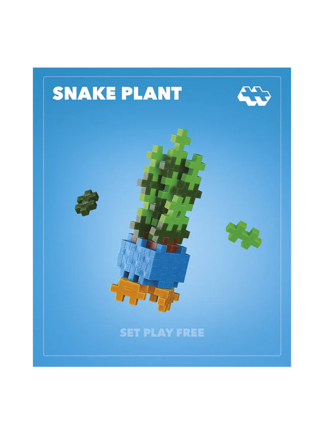 Plus Plus Snake Plant