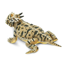 Safari Horned Lizzard