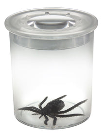 EDU-QI Bug Viewer Standard 5X