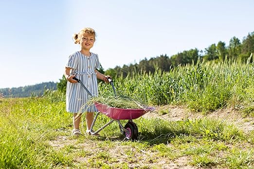 Rolly Metal Wheelbarrow - Pink