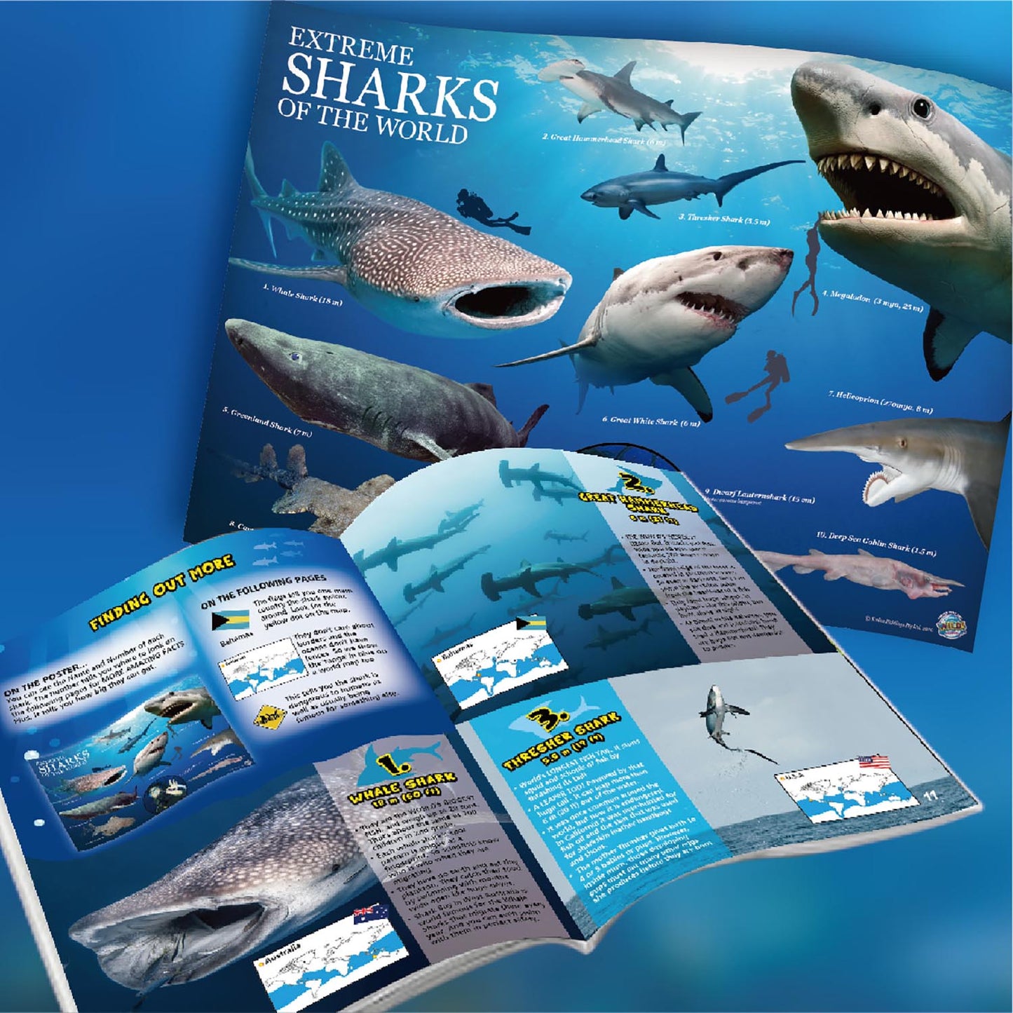 Wild Environmental Science Extreme Sharks of the World