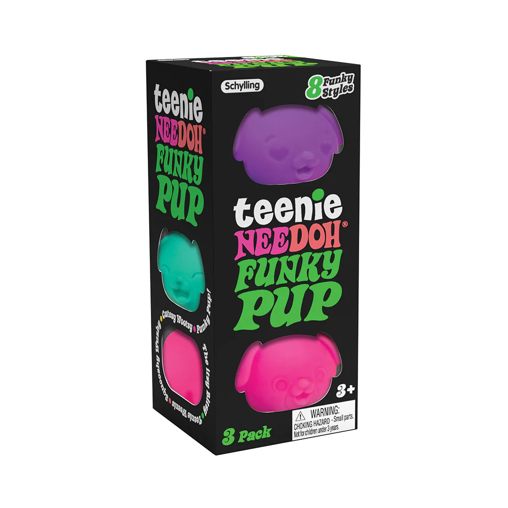 Schylling Teenie Needoh Cool Cats