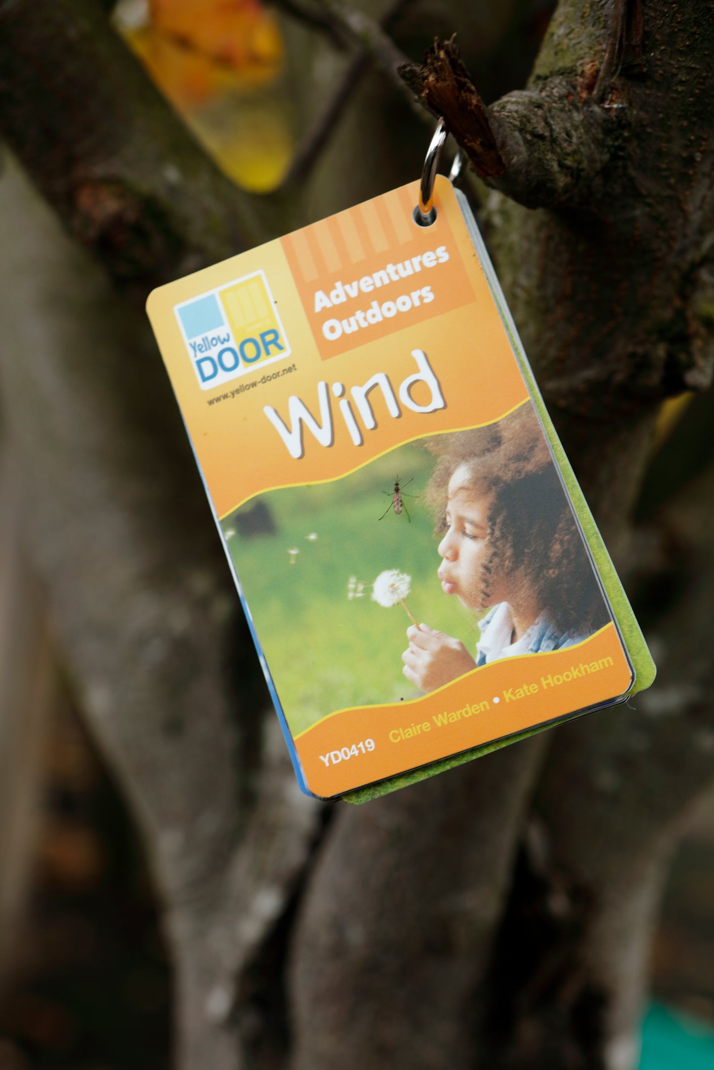 Yellow Door Adventures Outdoors - Wind