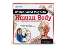 Learning Resources Double-Sided Magnetic Human Body