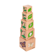 The Freckled Frog Life Cycle Wooden Blocks