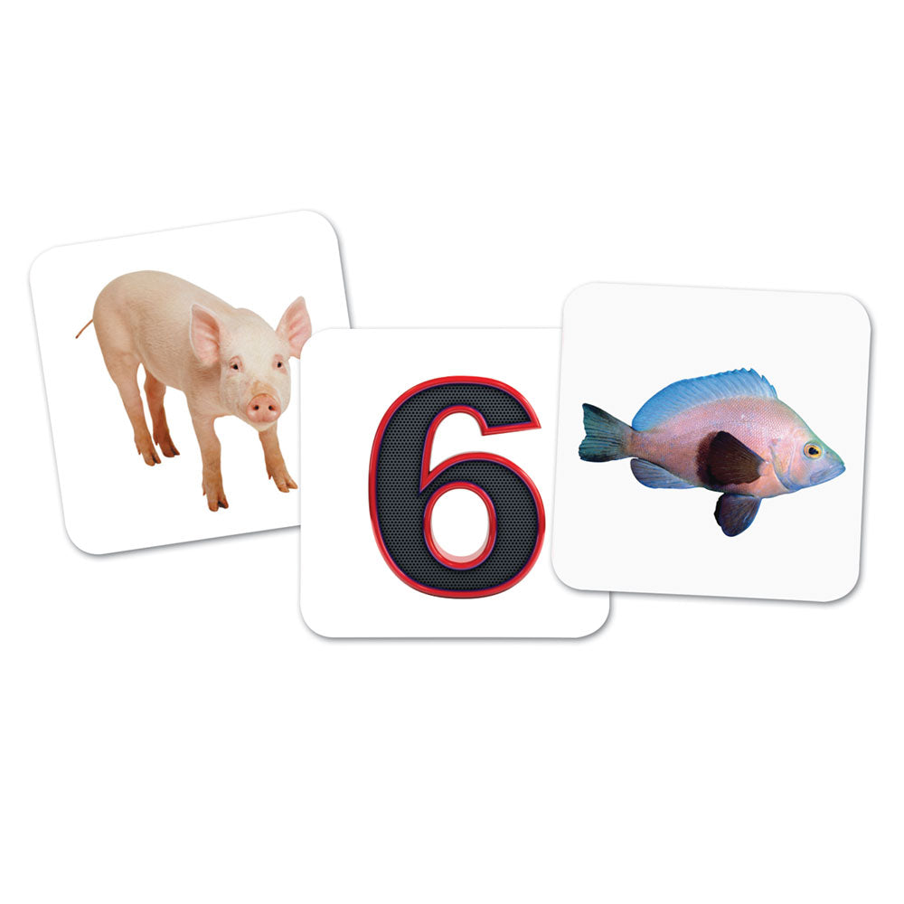 Learning Resources Vowel Owls™ Sorting Set