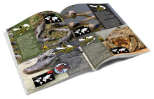 Wild Environmental Science Extreme Crocodiles of the World